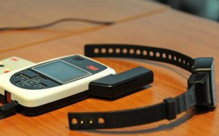 Hombre condenado por violencia doméstica agravada.