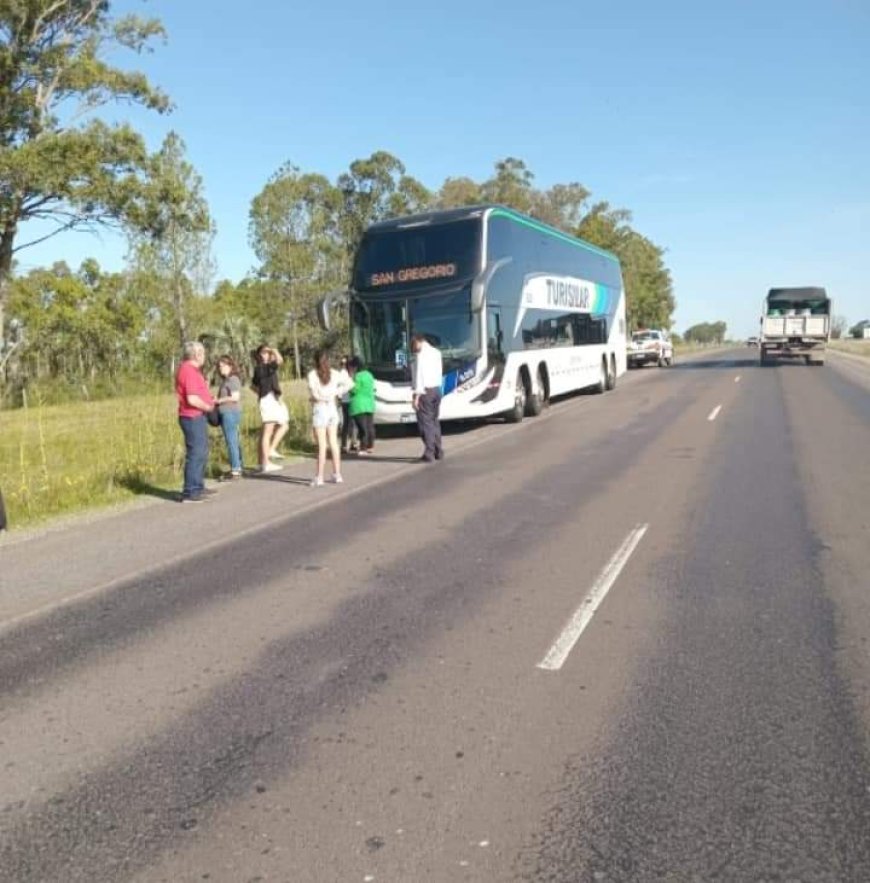Ómnibus colisionó con un equino, por suerte sin lesionados.