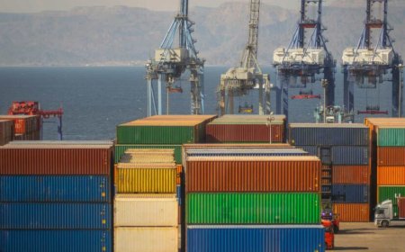 Aumentaron las exportaciones un 8% en el mes de noviembre.