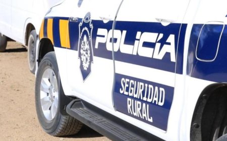 Condenan a dos hombres por faena clandestina en Durazno.