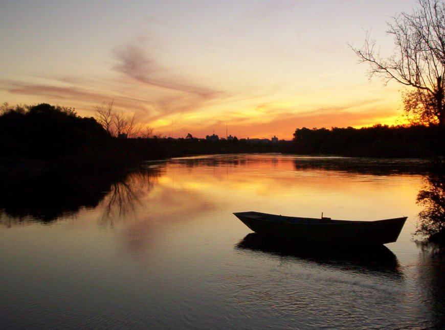 Informe del Cecoed: situación del río Yi.