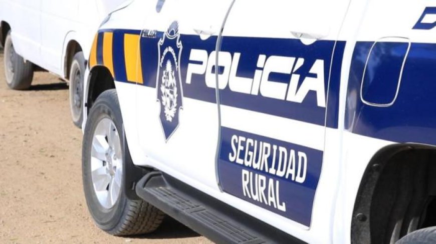 Condenan a dos hombres por faena clandestina en Durazno.