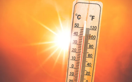 El INUMET anunció una ola de calor a partir de mañana.