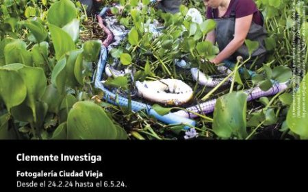 Segunda edición de la fotogalería Clemente investiga