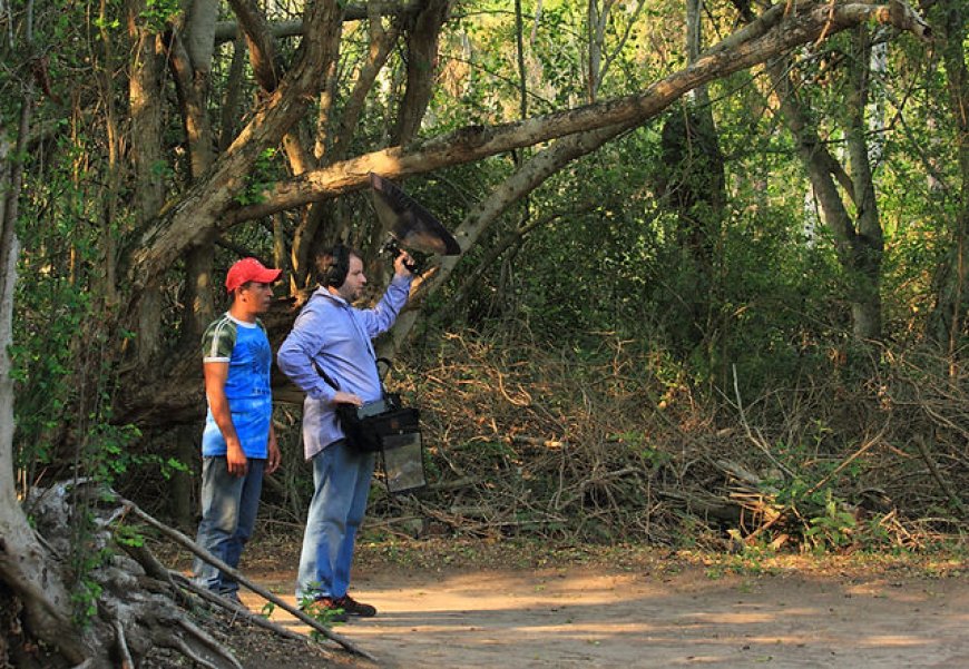 Un viaje a través de los sentidos: conocer Uruguay mediante los sonidos de su naturaleza.