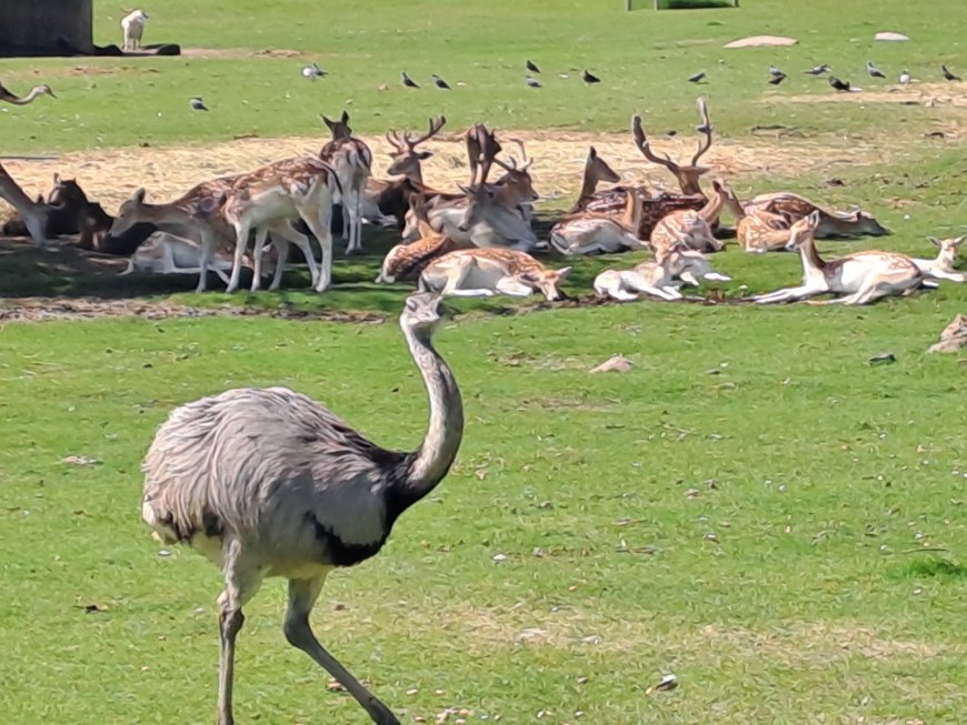 El Bioparque estará abierto durante el feriado de Carnaval.