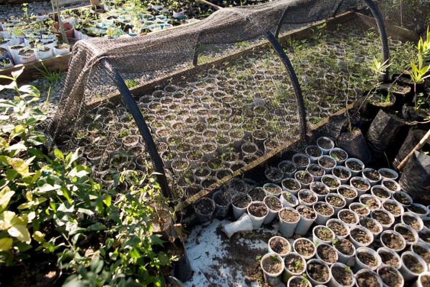 Gobierno anunció un plan de apoyo para productores hortícolas