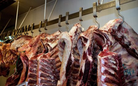 Ampliaron plazo para presentar consideraciones por negocio entre Minerva y Marfrig