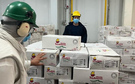 Se registró un récord de exportaciones de carne aviar en los primeros meses de 2024