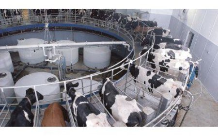 El mercado espera una mejora en el sector lechero durante 2024