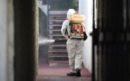 Dengue: 25 casos nuevos y aumentan los contagios en Salto