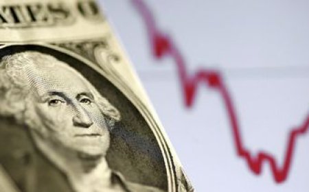 Los productores se encuentran en una situación crítica por el dólar