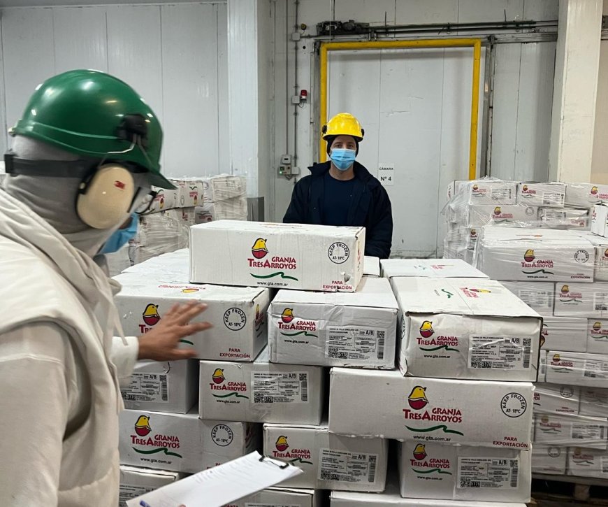 Se registró un récord de exportaciones de carne aviar en los primeros meses de 2024