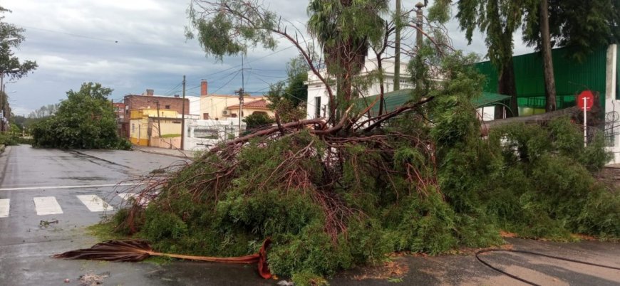 Florida fue afectada por una turbonada con vientos que superaron los 113 km/h