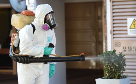 MSP confirmó 80 nuevos casos de dengue