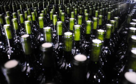 Presentaron Día del Patrimonio 2024: «El vino como tradición»