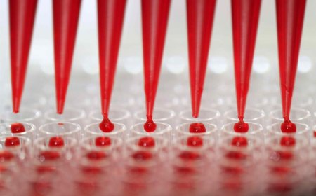 OMS: excesivo uso de antibióticos en pandemia ha exacerbado la resistencia antimicrobiana