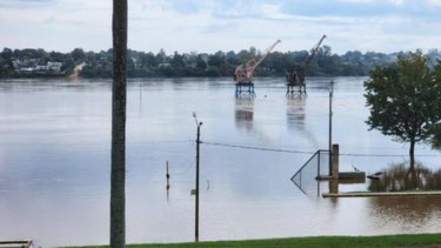 Peligra la soja por las inundaciones y la ARU advierte por "pérdidas importantes"