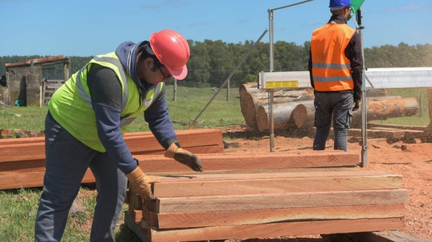 Escuelas Agrarias de UTU pasan de déficit en 2019 a ganancia de más de 1 millón de dólares