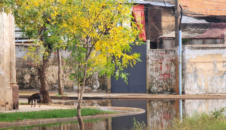 Desplazados por inundaciones siguen en aumento: 2.184 en 10 departamentos del país