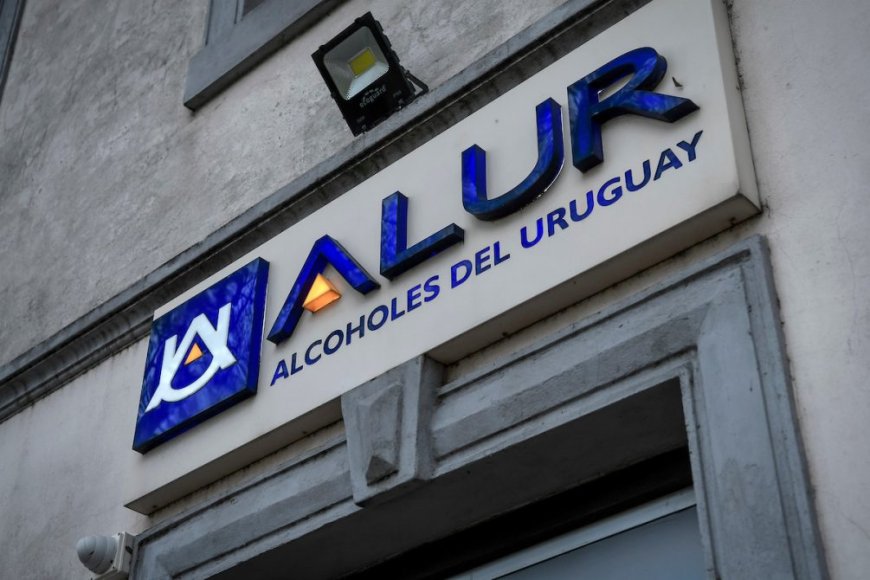 Alur: después de cuatro años “históricos”, se espera otra cosecha récord de caña de azúcar