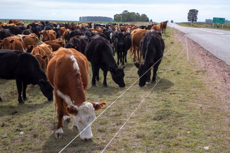 Proyectan fin de invierno e inicios de primavera con probabilidades de una nueva sequía