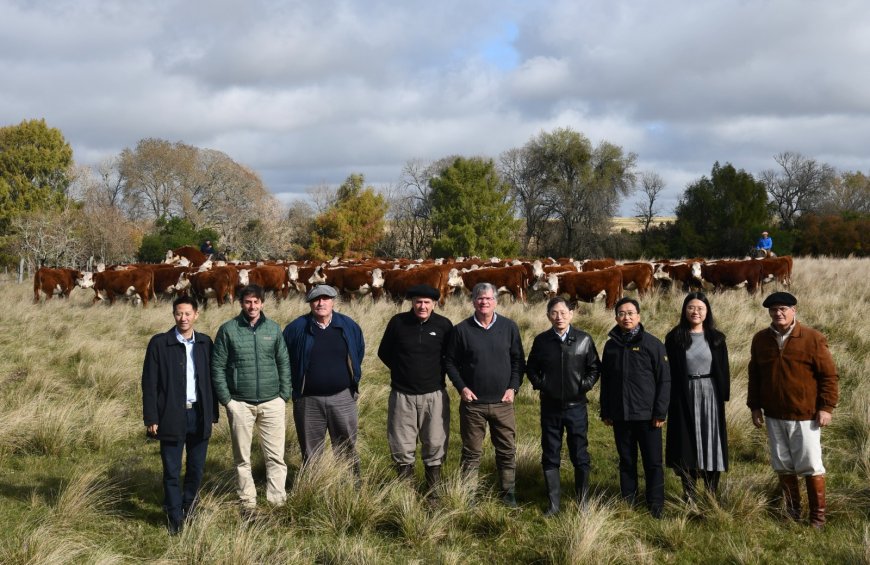 En el día de ayer visitó la estancia El Baqueano, una delegación de la embajada de China