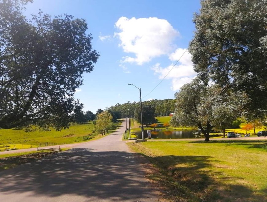 Trabajos en la Pista de  Ciclismo del Parque de la Hispanidad