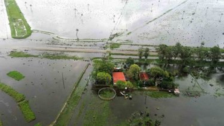 Los arroceros alertaron por pérdidas millonarias a causa de las inundaciones en Rocha