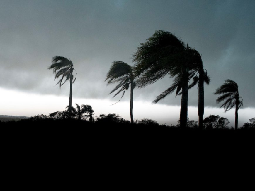 El tiempo este jueves 13 en todo el país según Inumet: humedad y viento que precede a la lluvia