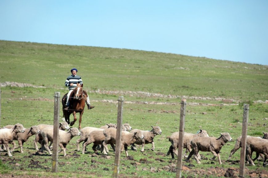 Federación Rural reclama mayor inserción internacional y más competitividad