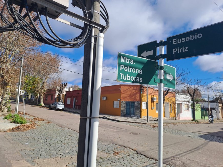 Intendencia de Durazno continúa con la poda de plátanos en la Ciudad