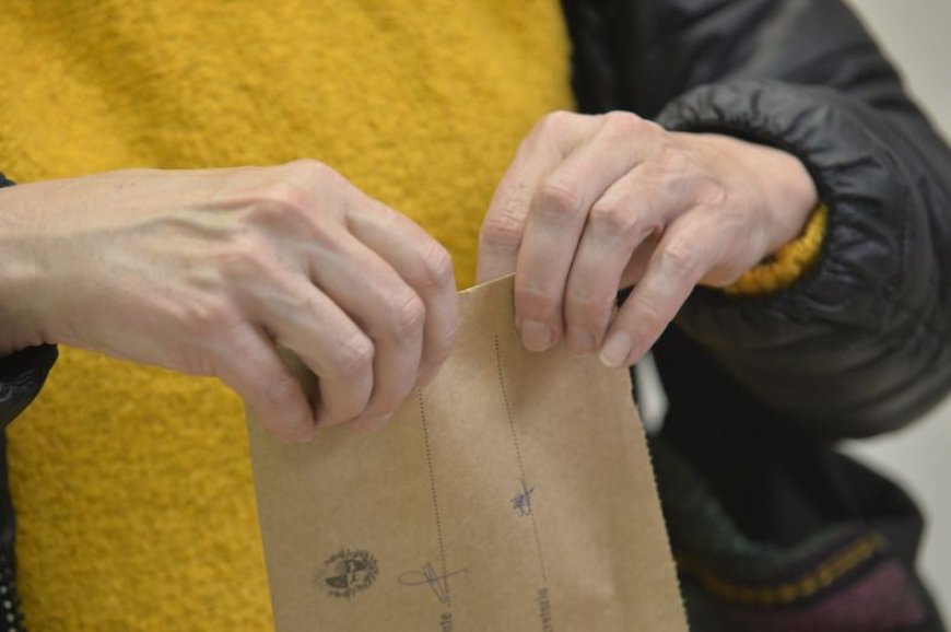 ¿Dónde voto en las elecciones 2024?: tu circuito designado para votar este domingo y detalles a considerar