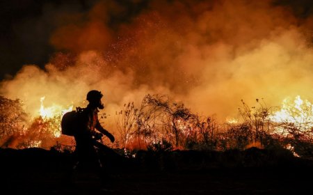 Los incendios en el Pantanal de Brasil baten un récord histórico