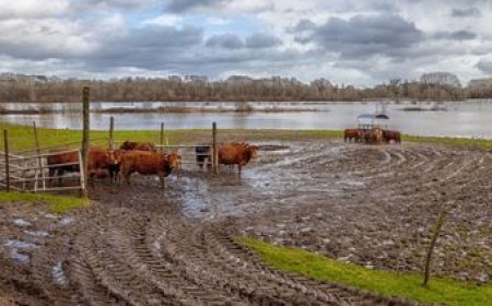 El agro advierte por la falta de medidas de alivio en más de dos meses de emergencia agropecuaria