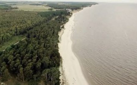 Proyecto Arazatí: OSE apela hoy al fallo del juez Alejandro Recarey