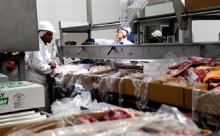 El MGAP avanza en negociaciones para exportar carne sin aranceles a China