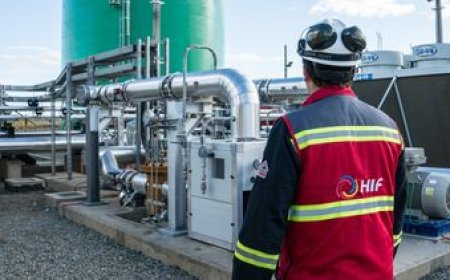 Hidrógeno verde: las preocupaciones ambientales demoran la mayor inversión en la historia de Uruguay