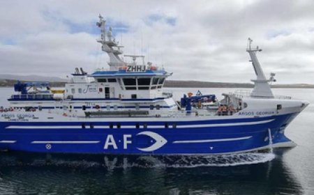 El gobierno colabora con Reino Unido en la búsqueda de tripulantes del barco que naufragó en las Malvinas