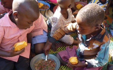 ONU: Más de 270.000 niños sufrirán desnutrición «mortal» en seis países de África en 2024
