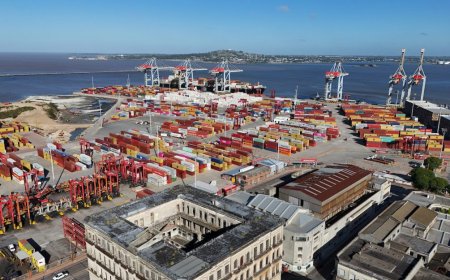 Exportaciones uruguayas de bienes aumentan un 32 % en julio respecto al mismo mes de 2023