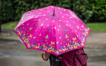 Hay alertas de nivel naranja y amarillo