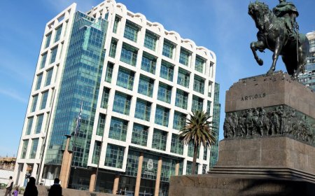 El gobierno ultima detalles para la implementación de la ley de internación compulsiva