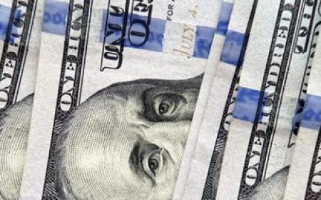 El dólar volvió a subir y alcanzó un nuevo máximo en más de 20 días