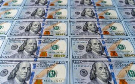 El dólar cerró su segunda semana consecutiva al alza