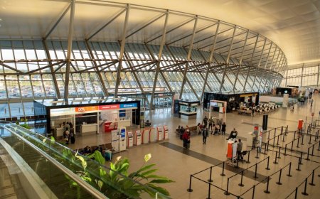 Vacaciones de primavera: venta de pasajes aumentó entre 20 y 30%