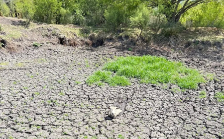 Se acerca La Niña y preocupa una nueva sequía