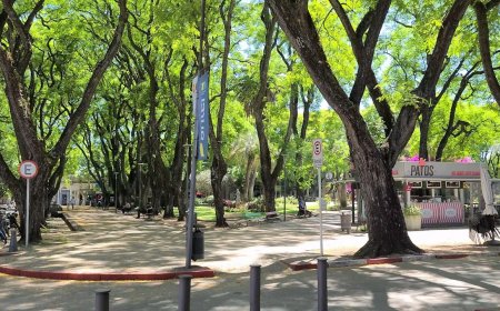 Disparos de arma de fuego en pleno centro