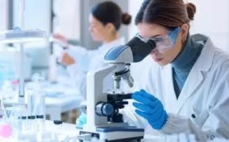 Un avance médico podría ayudar a salvar a un animal casi extinto: ¿cuántos ejemplares quedan en el mundo?