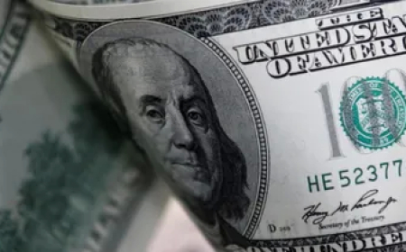El dólar cayó tras siete jornadas y regresó a los $ 41